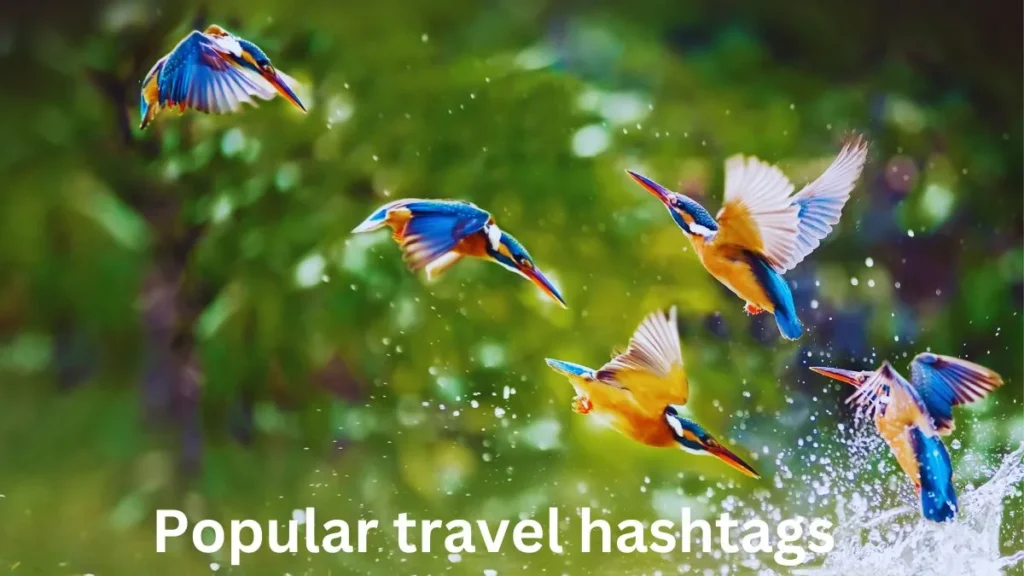 popular general travel hashtags